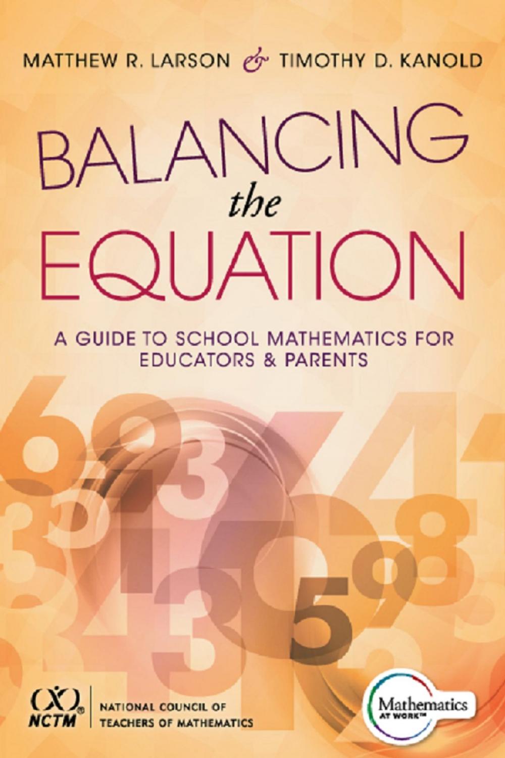 Big bigCover of Balancing the Equation