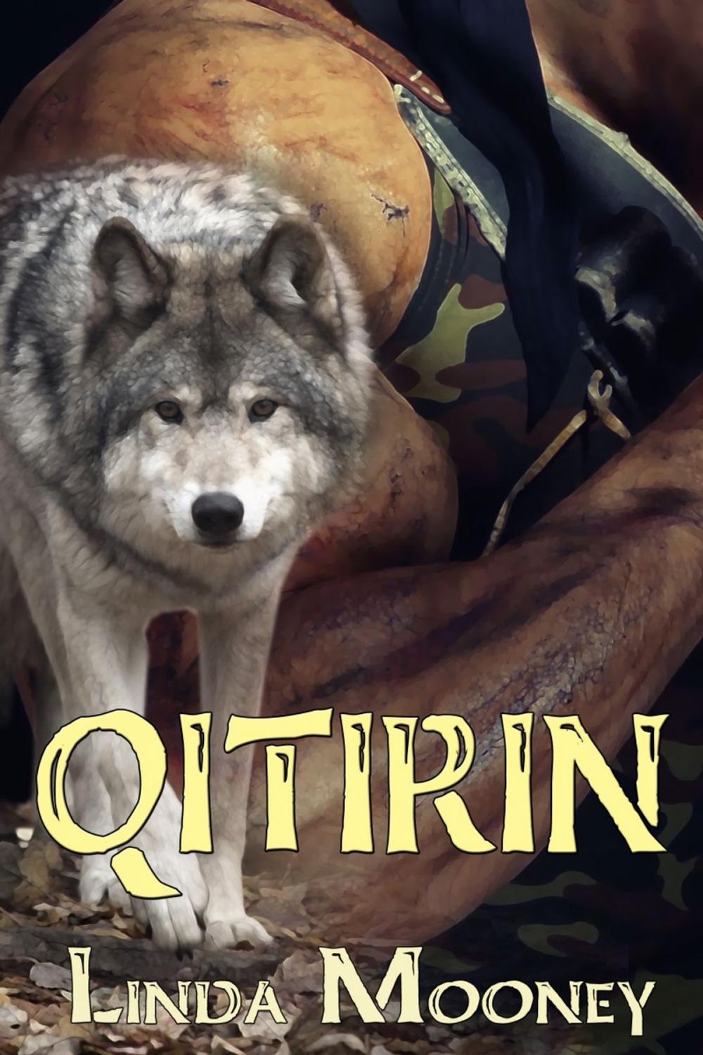 Big bigCover of Qitirin