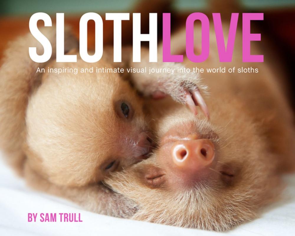 Big bigCover of Slothlove