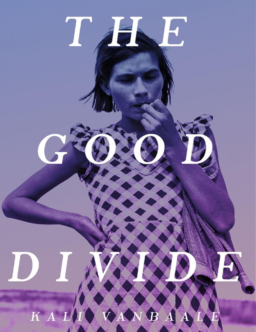 Big bigCover of The Good Divide