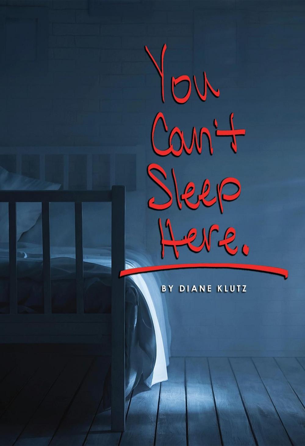 Big bigCover of You Can't Sleep Here