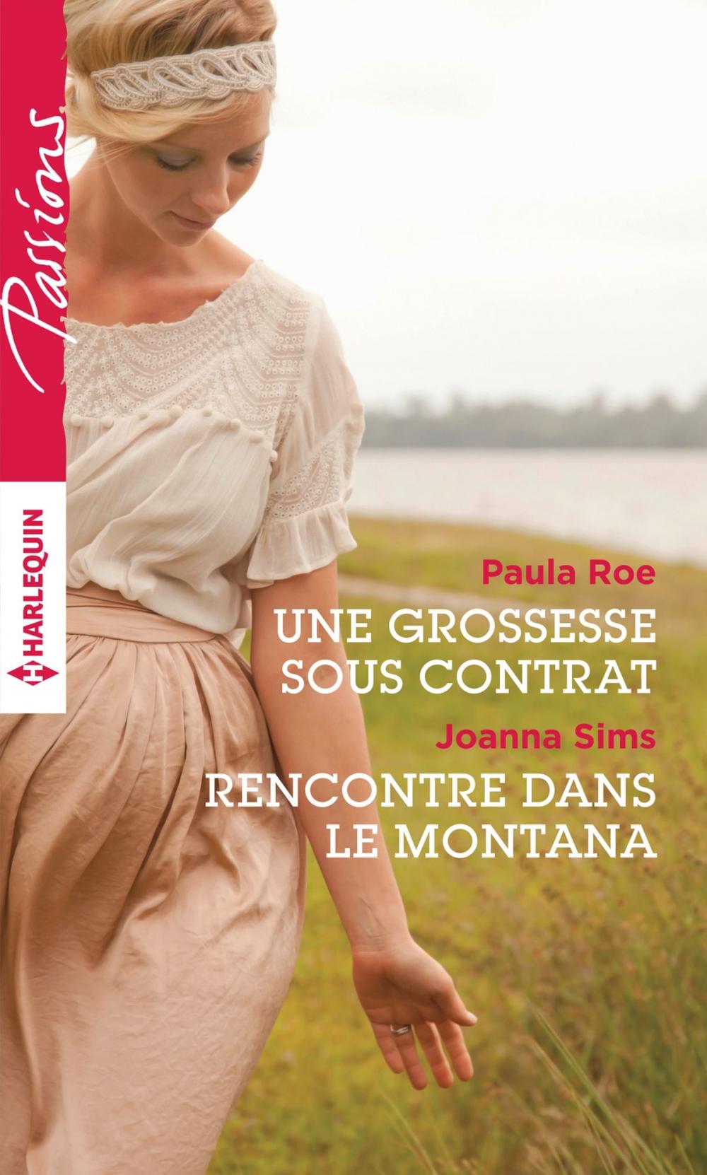 Big bigCover of Une grossesse sous contrat - Rencontre dans le Montana