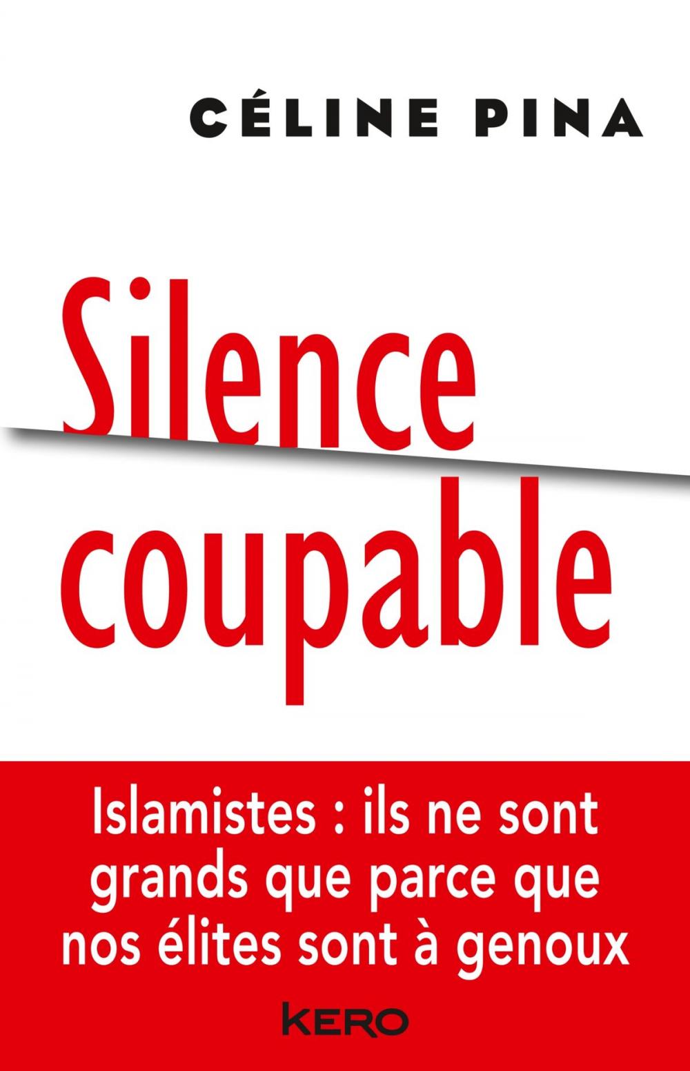 Big bigCover of Silence coupable