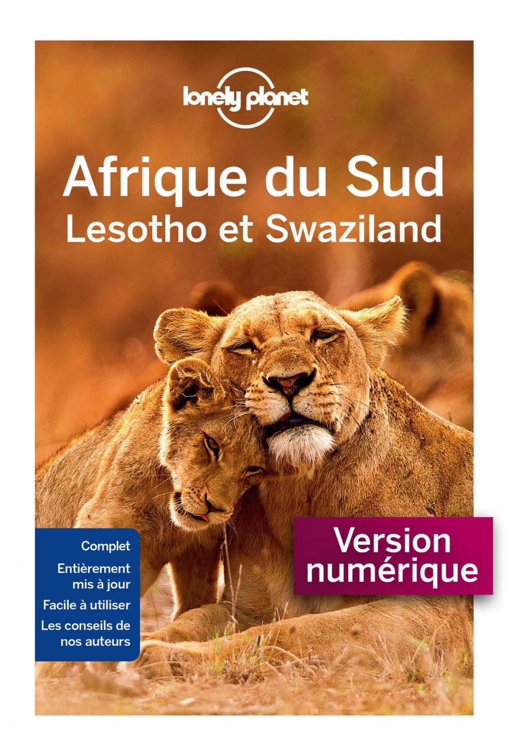 Big bigCover of Afrique du Sud - 9ed