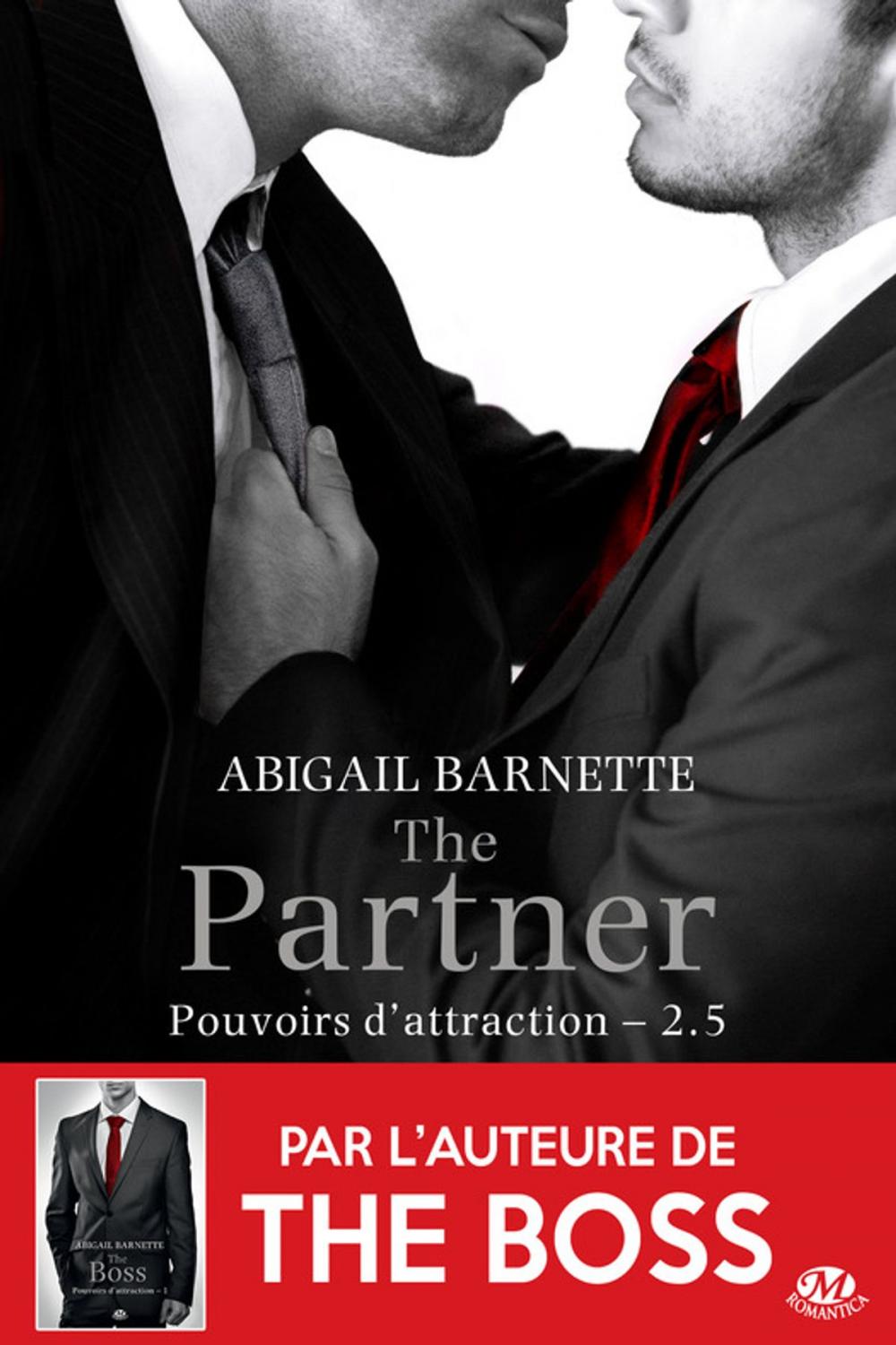 Big bigCover of The Partner