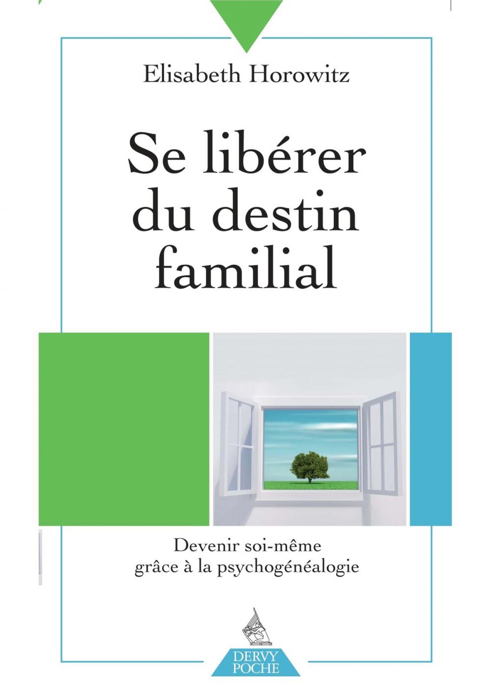 Big bigCover of Se libérer du destin familial