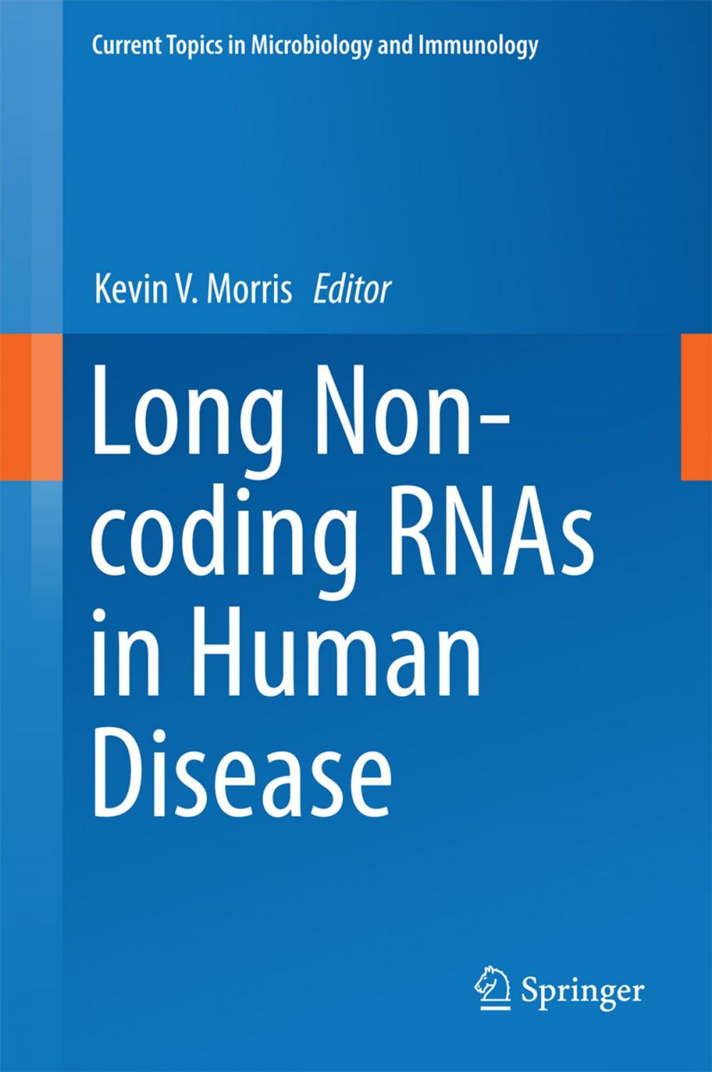 Big bigCover of Long Non-coding RNAs in Human Disease