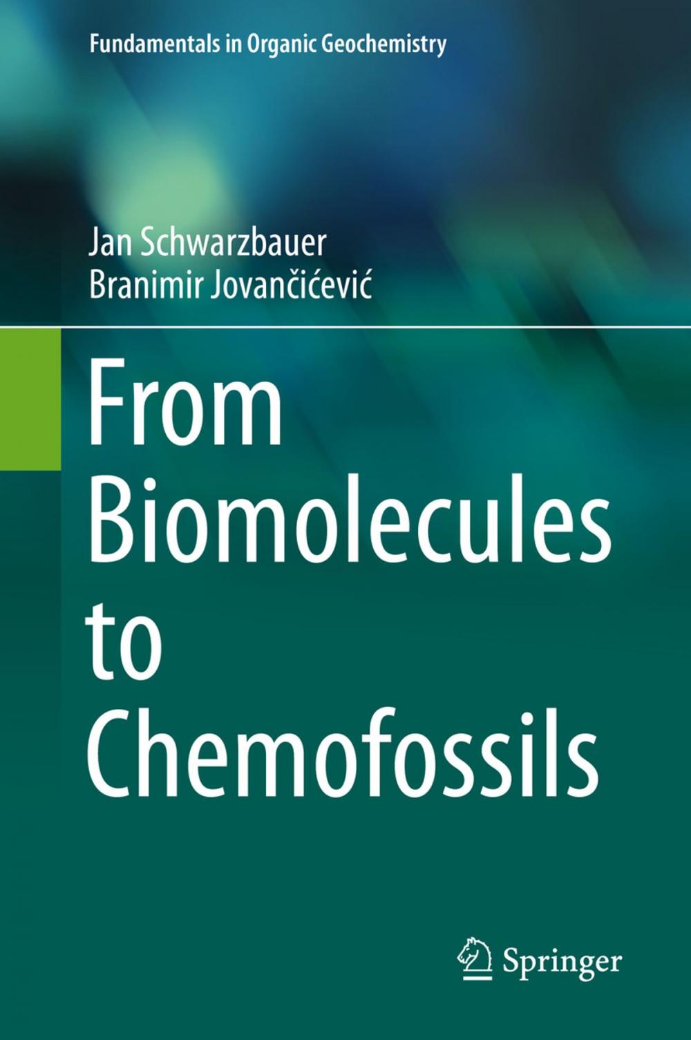 Big bigCover of From Biomolecules to Chemofossils