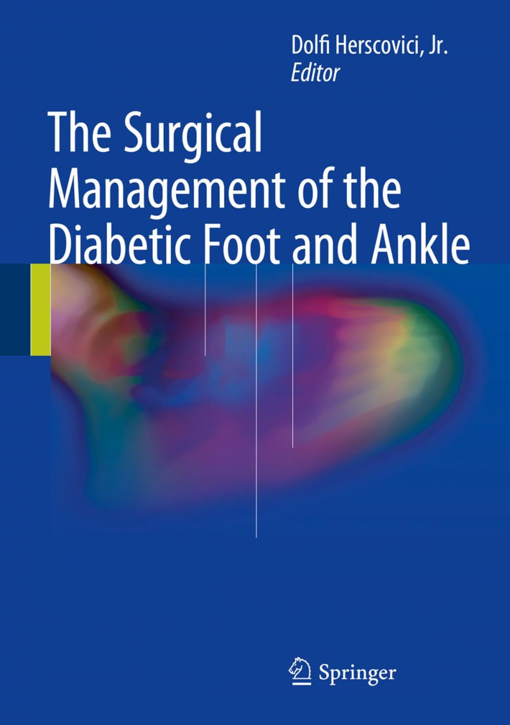 Big bigCover of The Surgical Management of the Diabetic Foot and Ankle