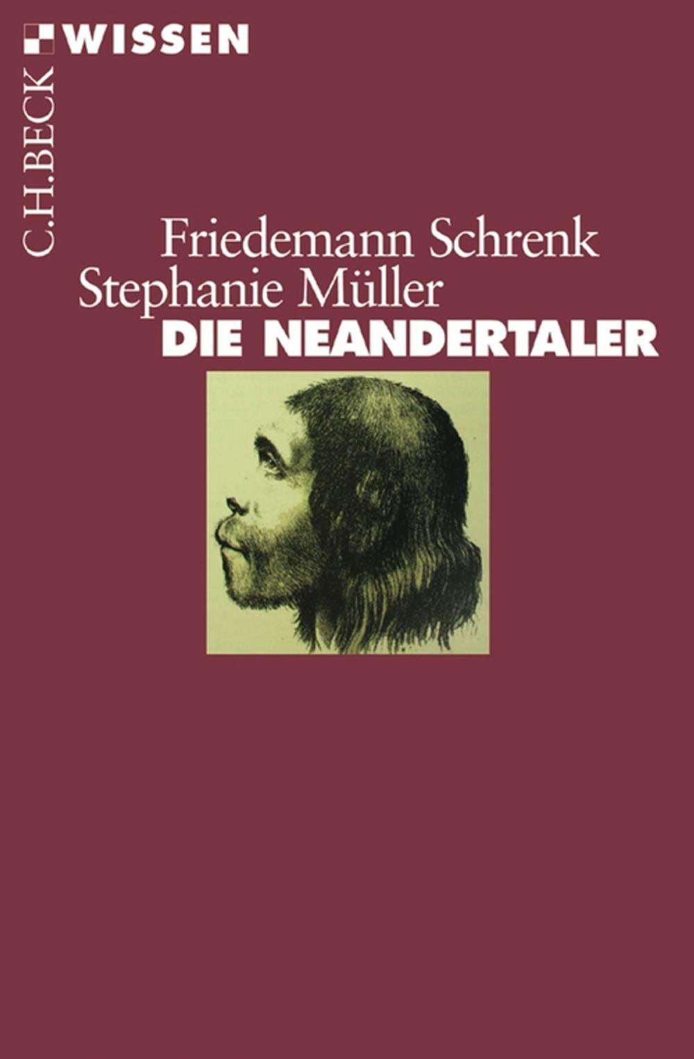 Big bigCover of Die Neandertaler