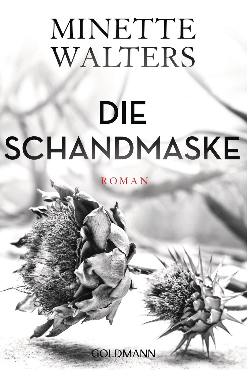 Big bigCover of Die Schandmaske