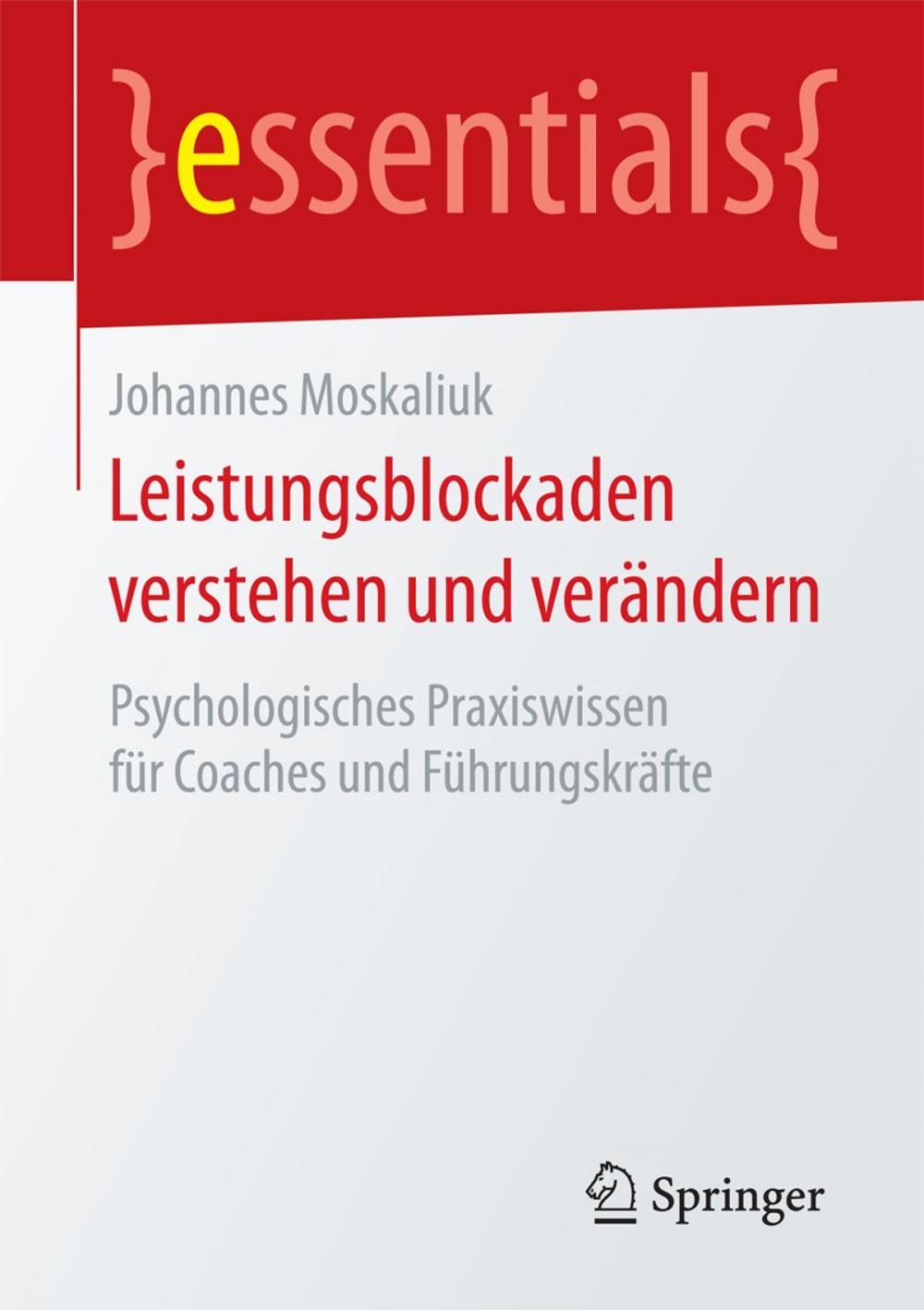 Big bigCover of Leistungsblockaden verstehen und verändern