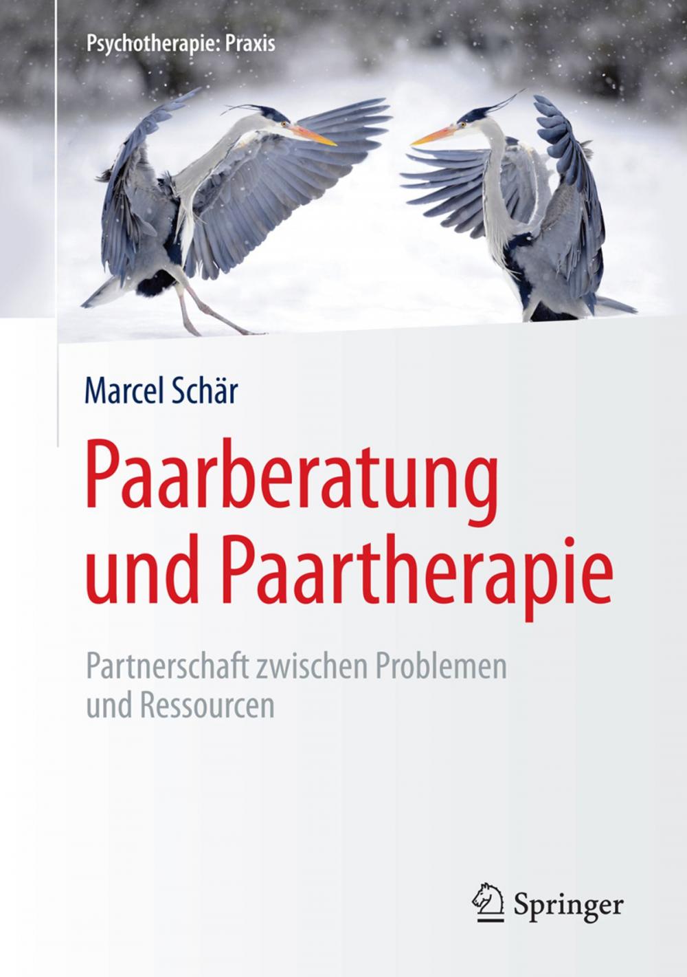 Big bigCover of Paarberatung und Paartherapie