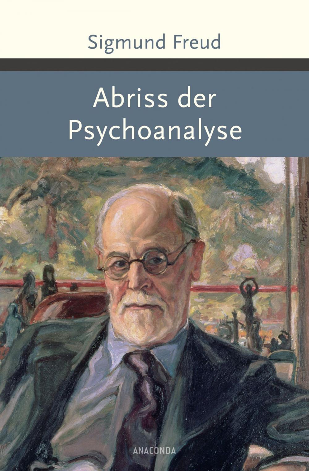 Big bigCover of Abriss der Psychoanalyse