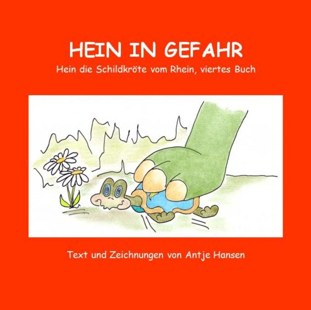 Big bigCover of Hein in Gefahr