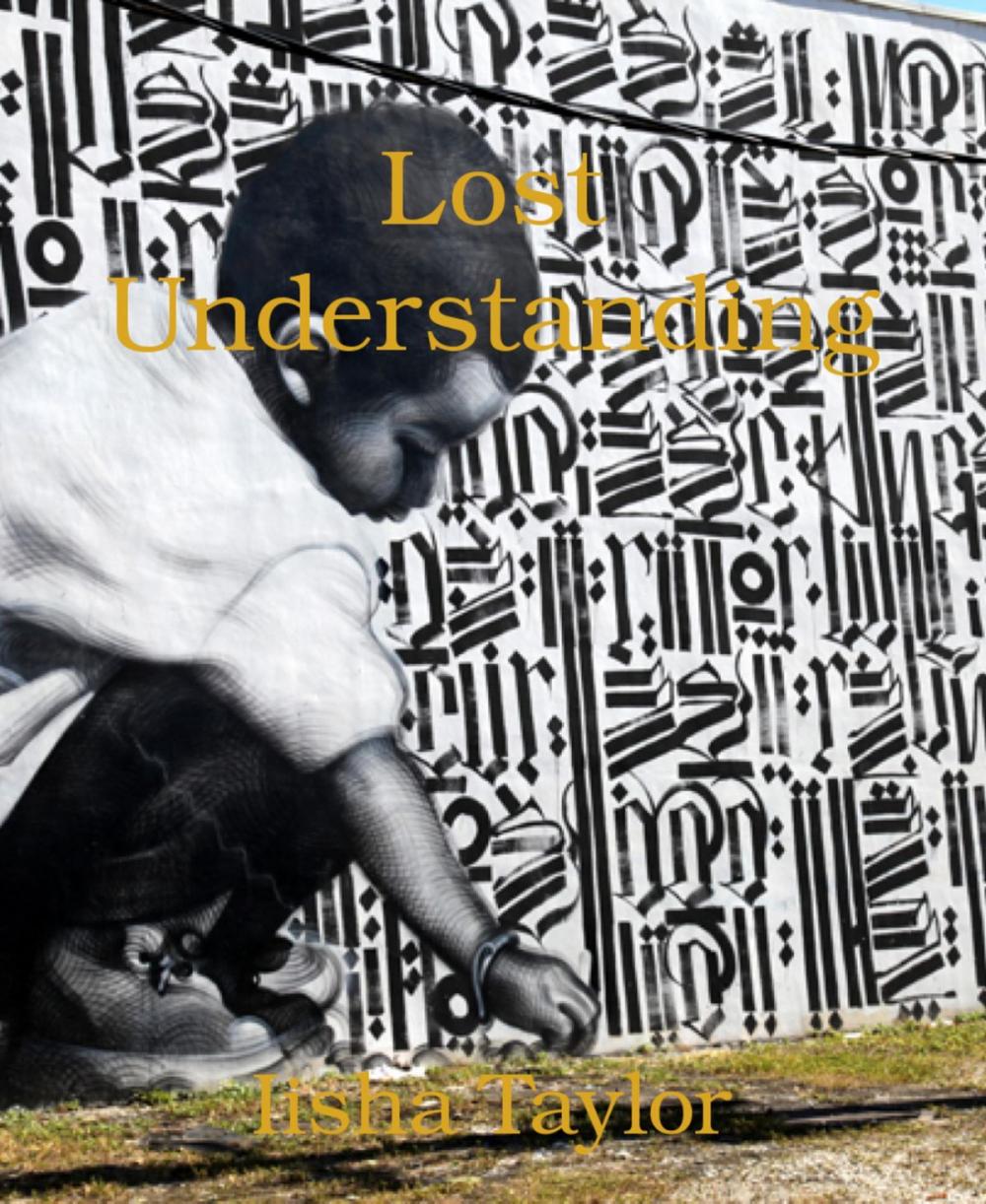 Big bigCover of Lost Understanding