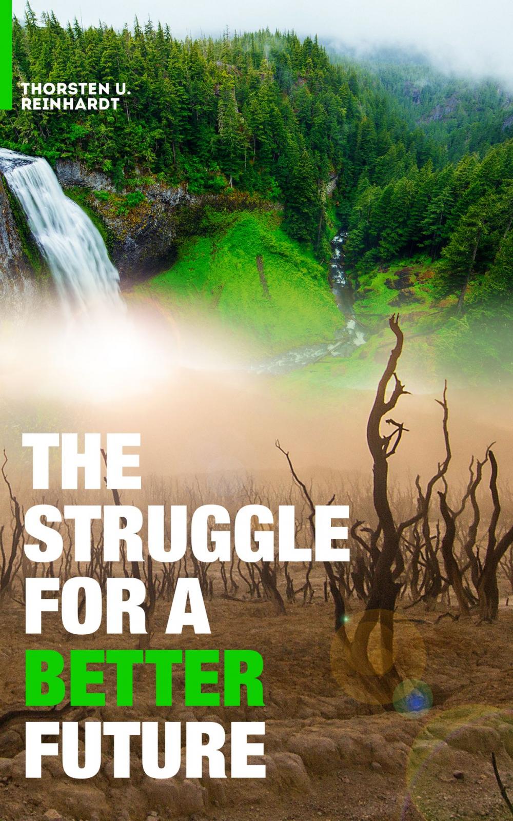 Big bigCover of The Struggle for a Better Future