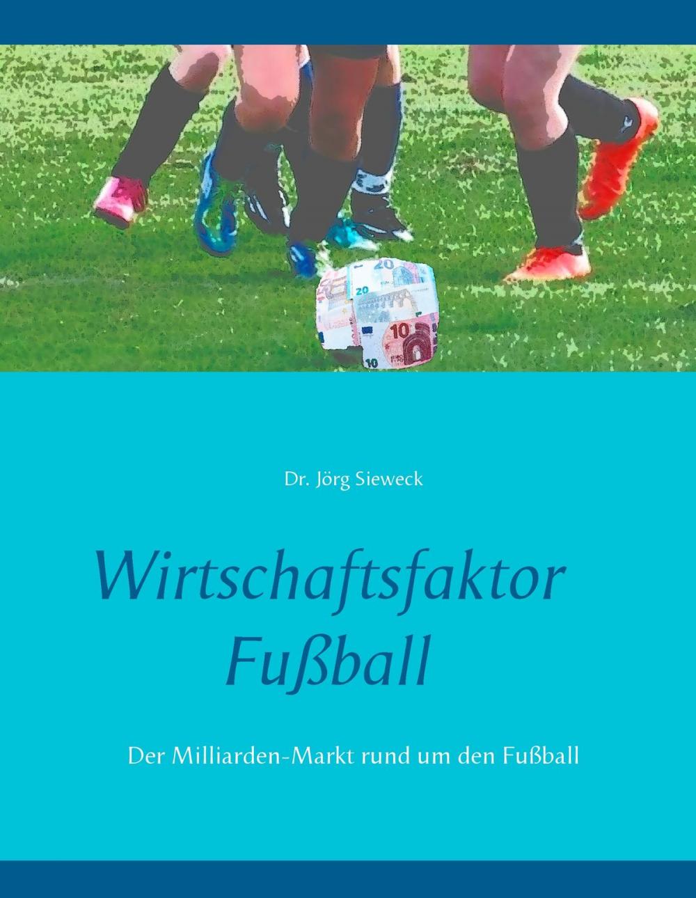 Big bigCover of Wirtschaftsfaktor Fußball