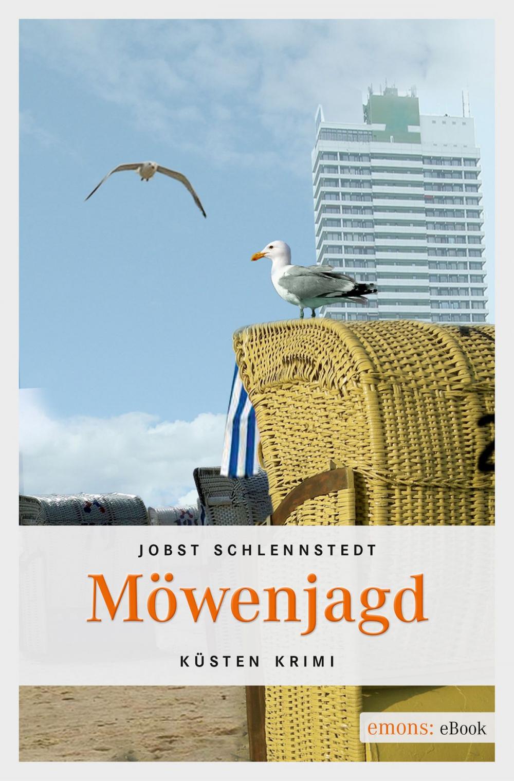 Big bigCover of Möwenjagd