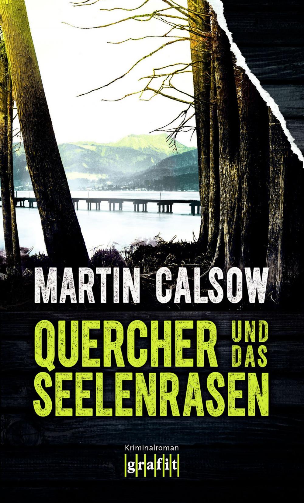 Big bigCover of Quercher und das Seelenrasen