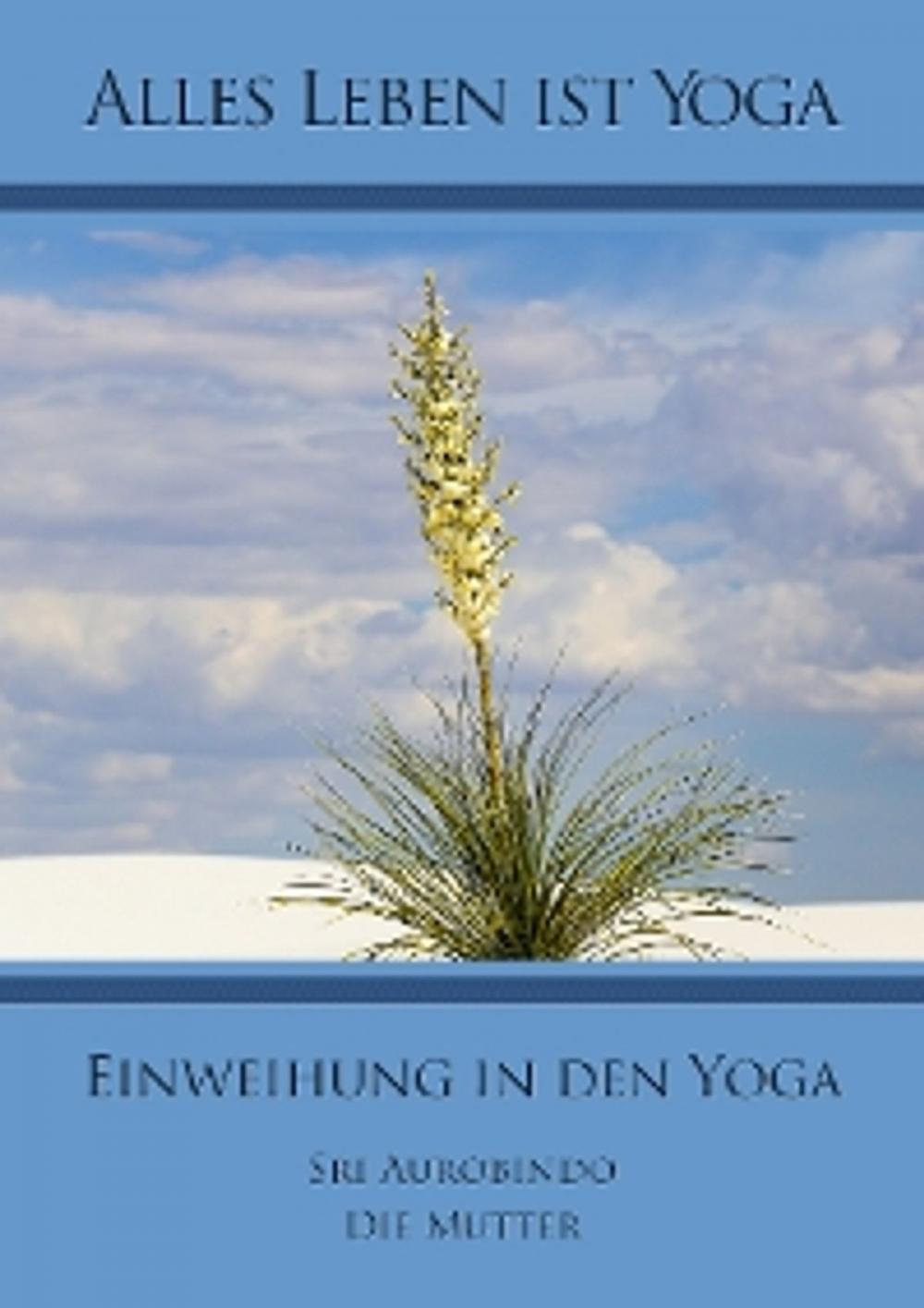 Big bigCover of Einweihung in den Yoga