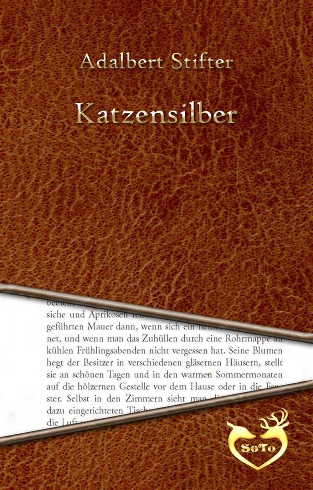 Big bigCover of Katzensilber