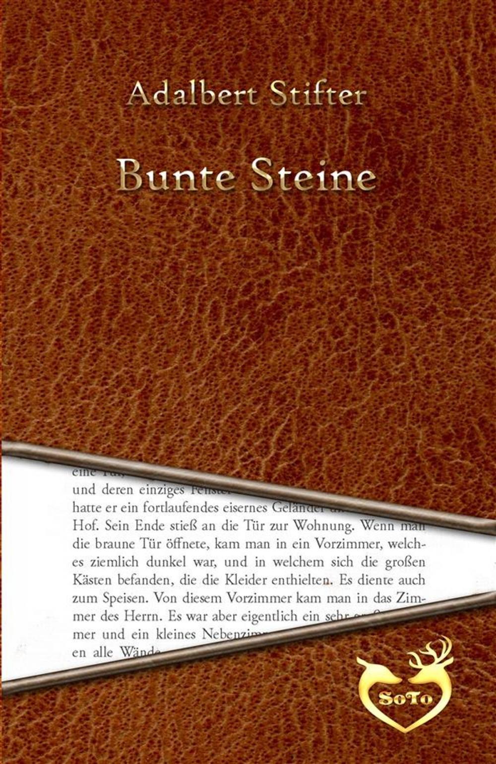 Big bigCover of Bunte Steine