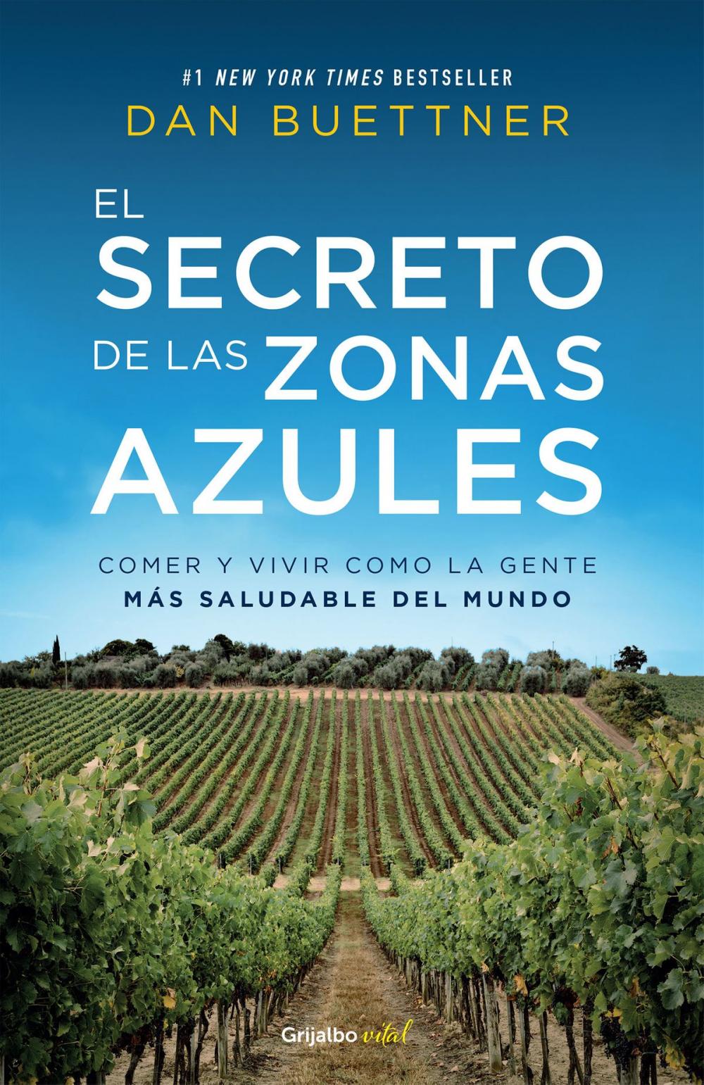 Big bigCover of El secreto de las zonas azules (Colección Vital)