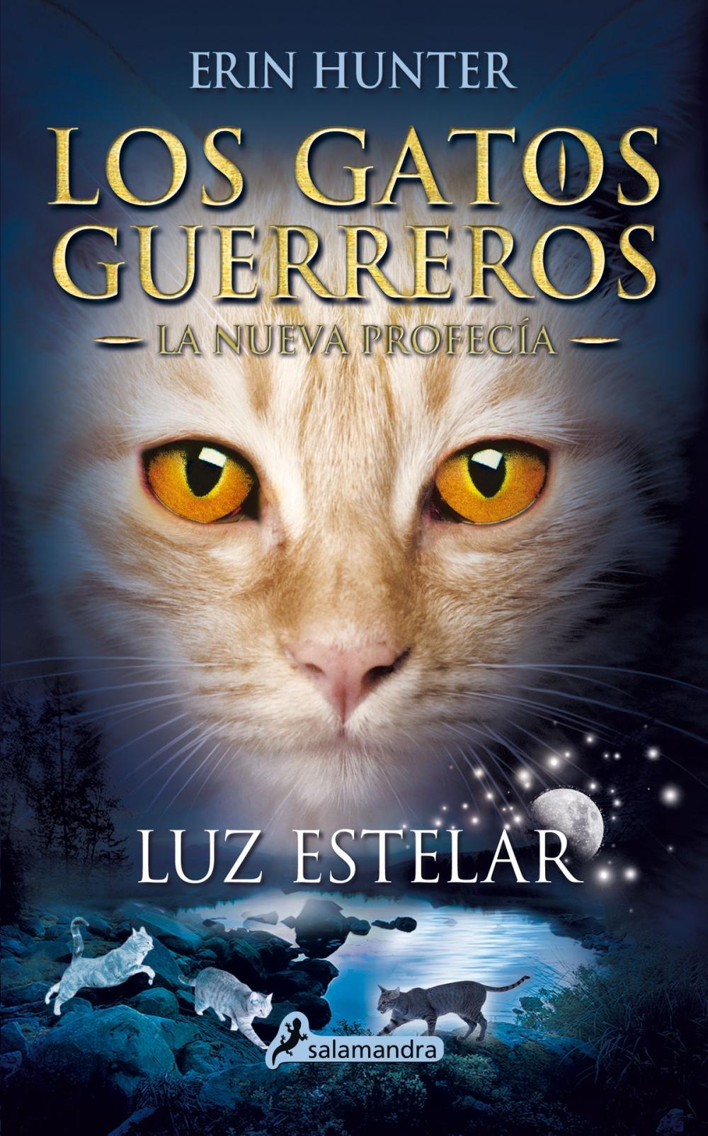 Big bigCover of Luz estelar