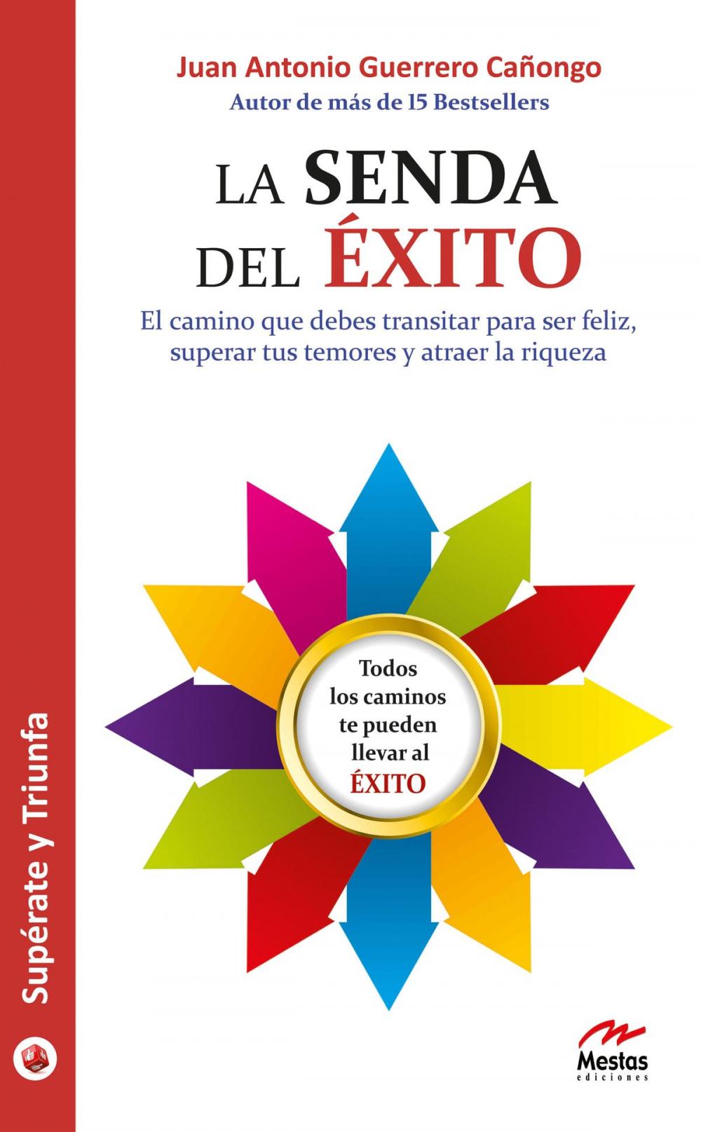 Big bigCover of La senda del éxito