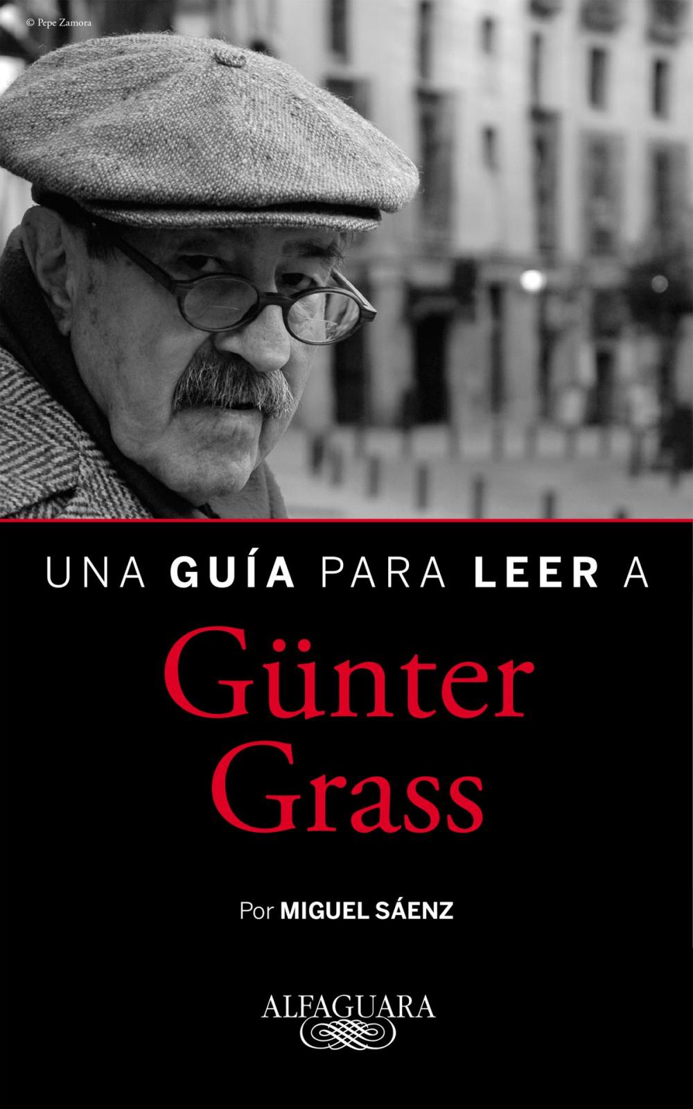 Big bigCover of Una guía para leer a Günter Grass