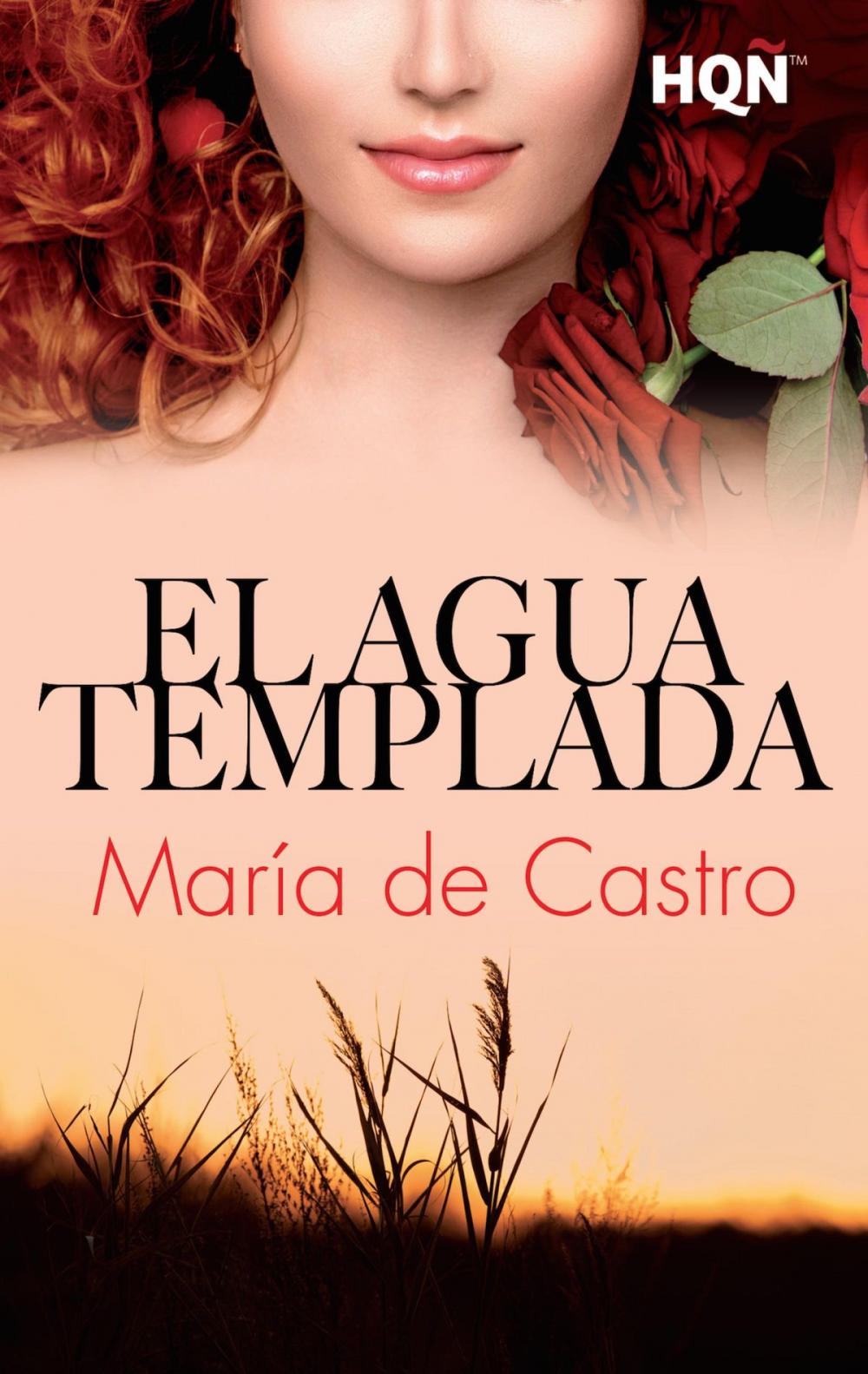 Big bigCover of El agua templada