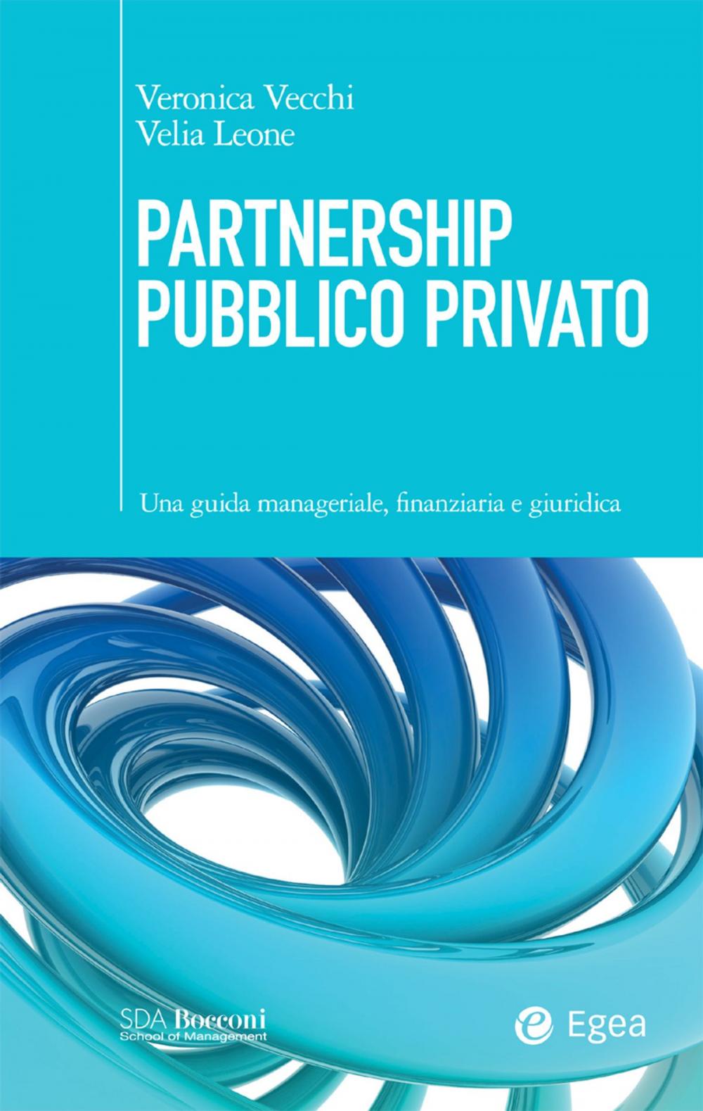 Big bigCover of Partnership Pubblico Privato