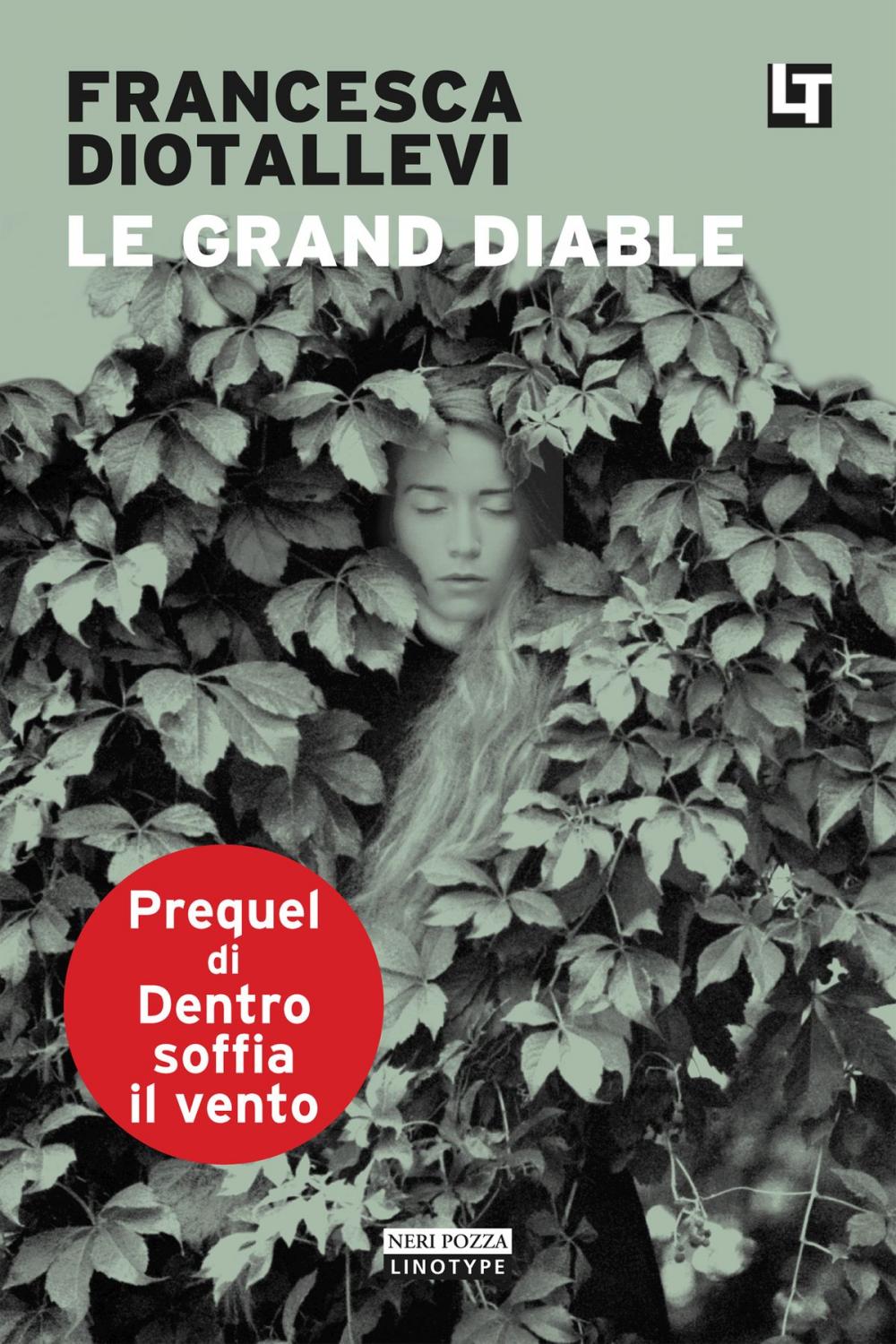 Big bigCover of Le Grand Diable