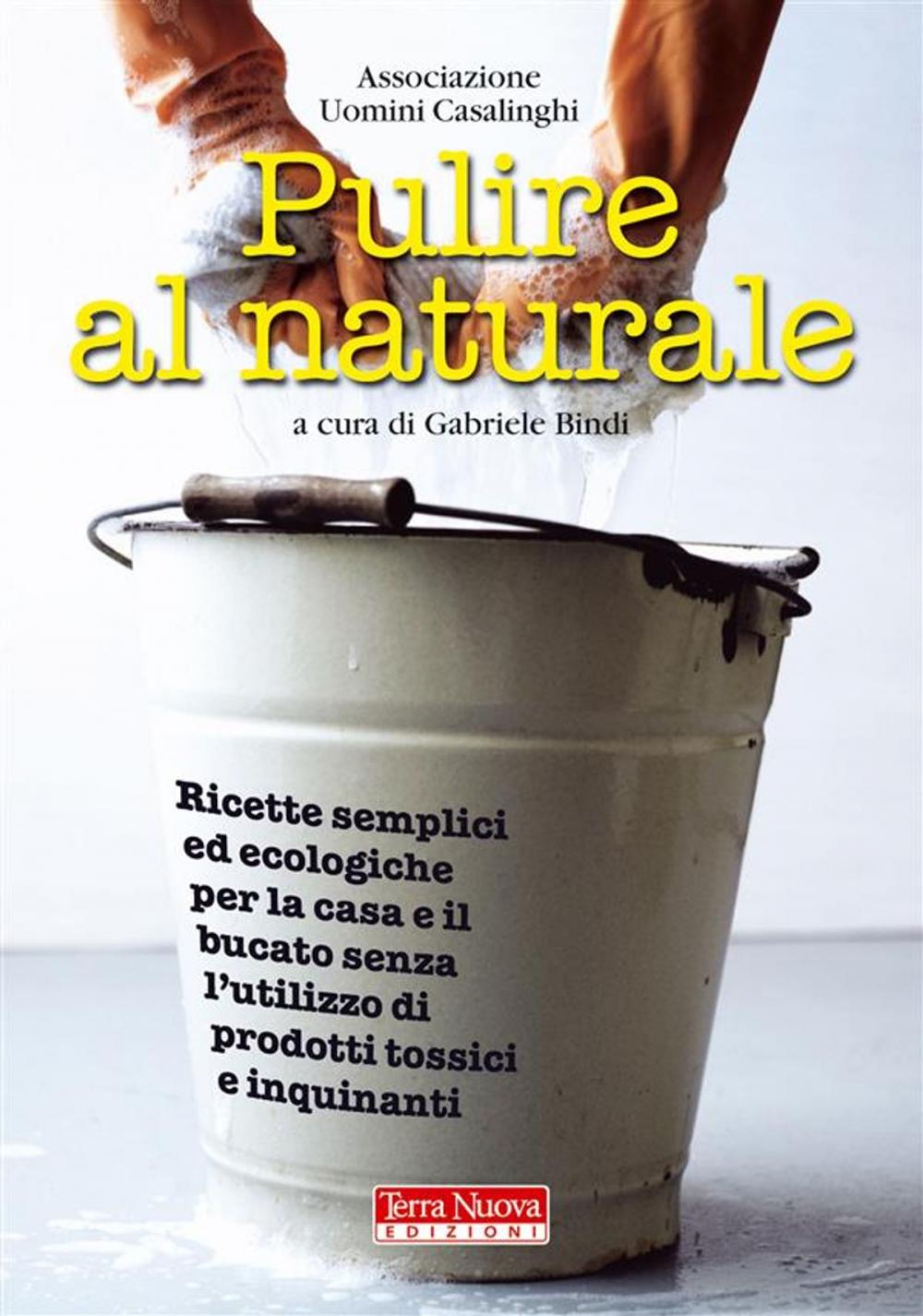 Big bigCover of Pulire al naturale