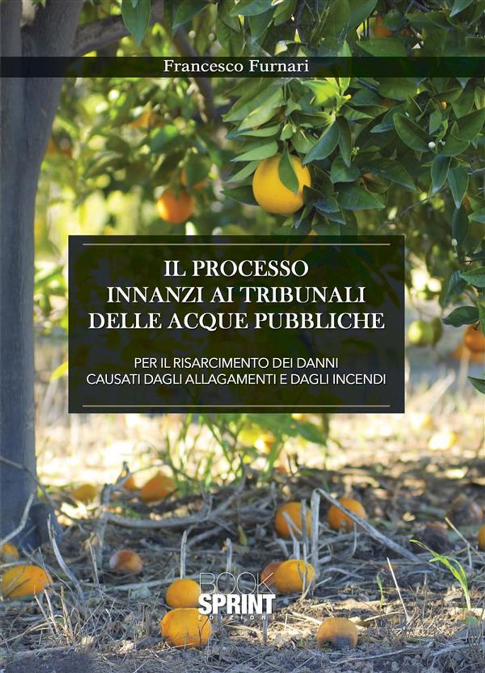 Big bigCover of Il processo innanzi ai tribunali delle acque pubbliche