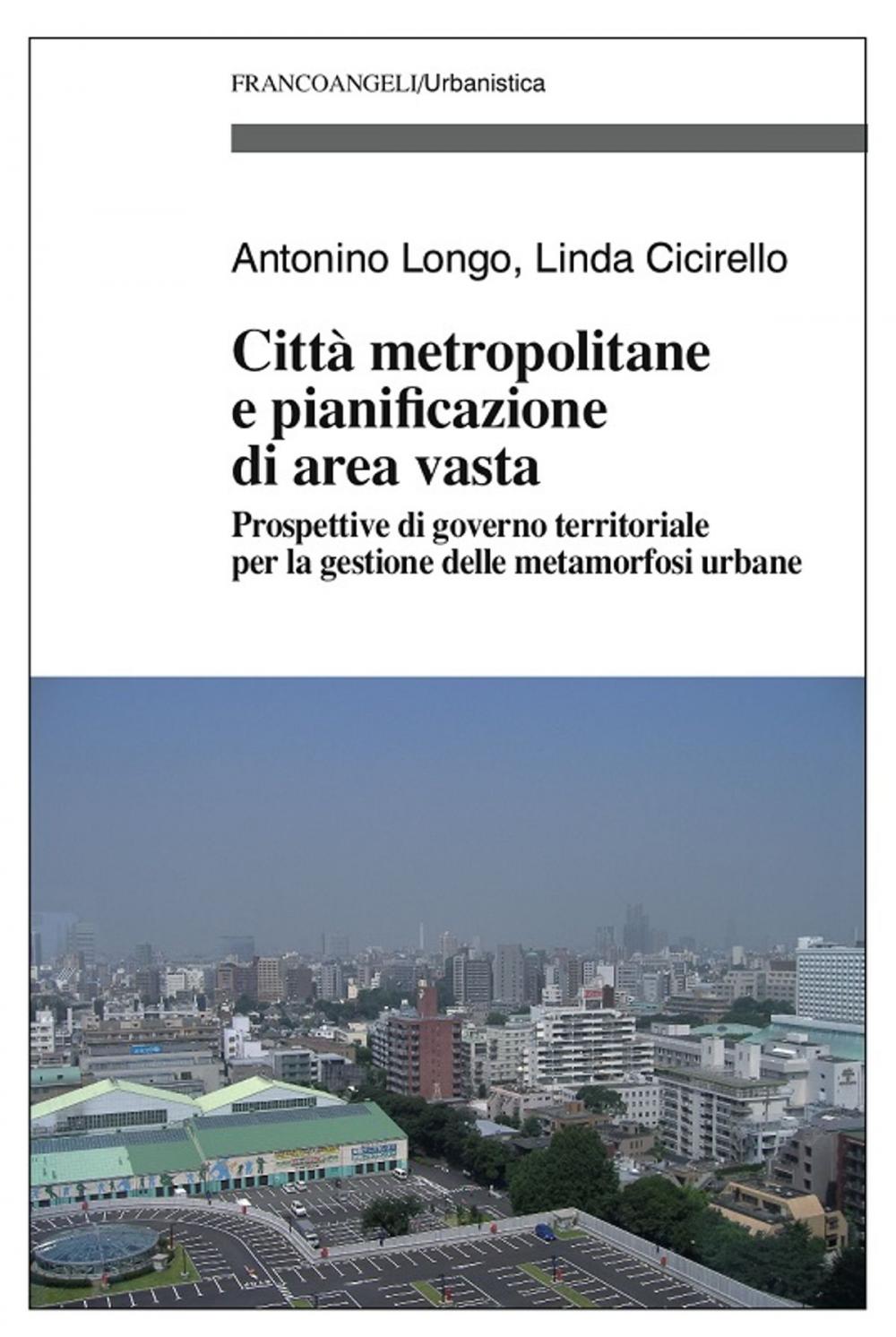 Big bigCover of Città metropolitane e pianificazione di area vasta. Prospettive di governo territoriale per la gestione delle metamorfosi urbane