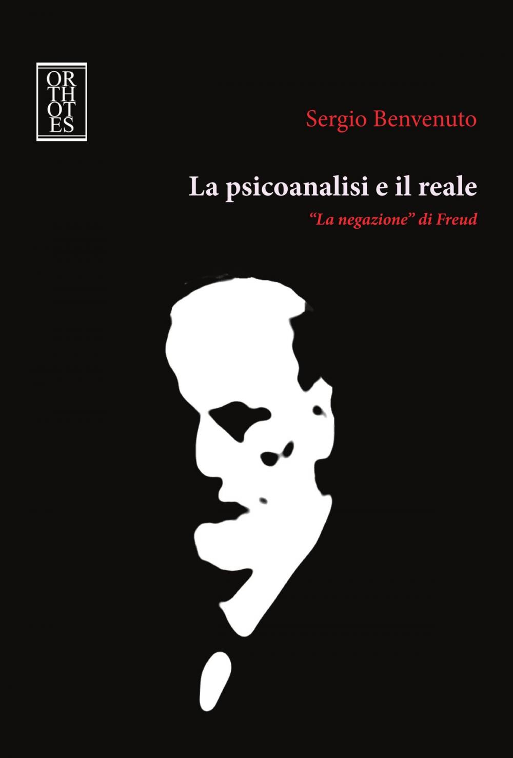 Big bigCover of La psicoanalisi e il reale