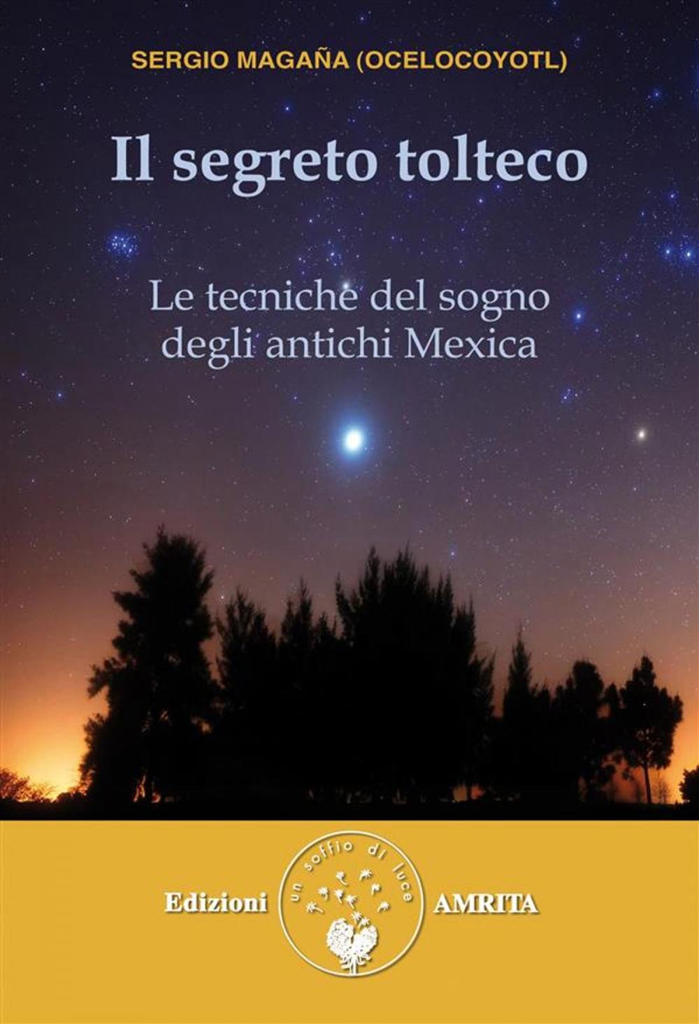 Big bigCover of Il segreto tolteco