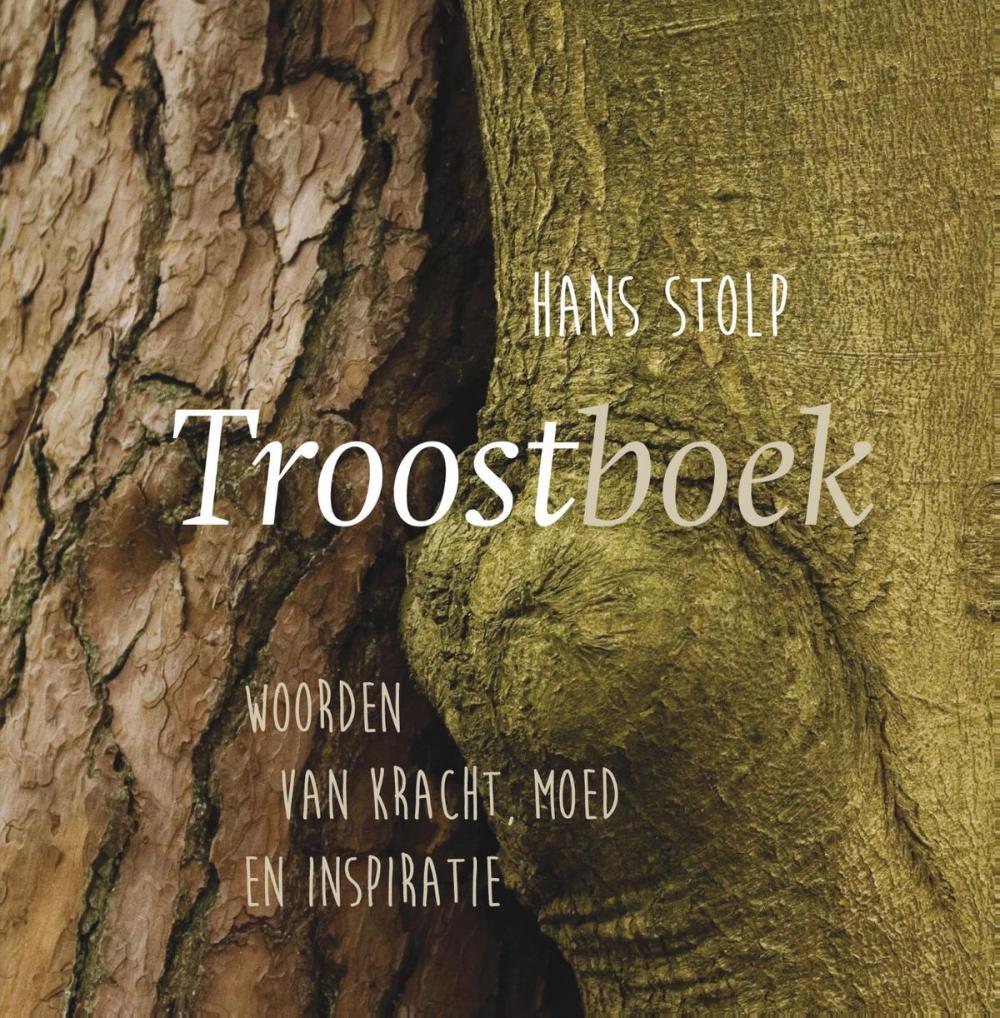 Big bigCover of Troostboek