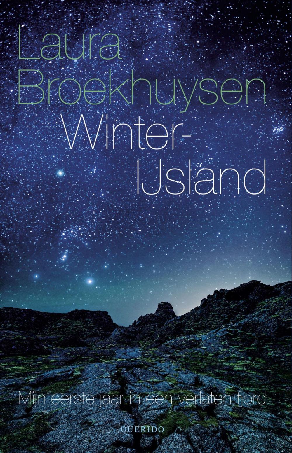 Big bigCover of Winter-IJsland