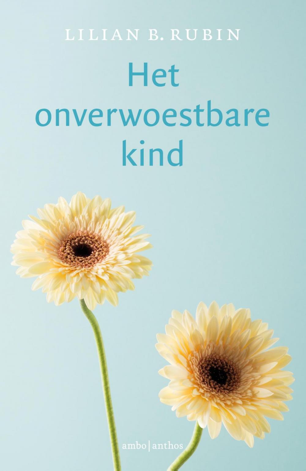 Big bigCover of Het onverwoestbare kind