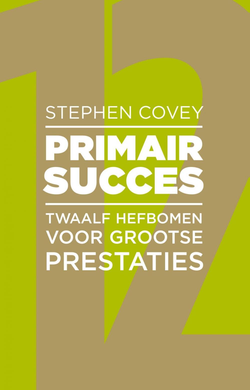 Big bigCover of Primair Succes