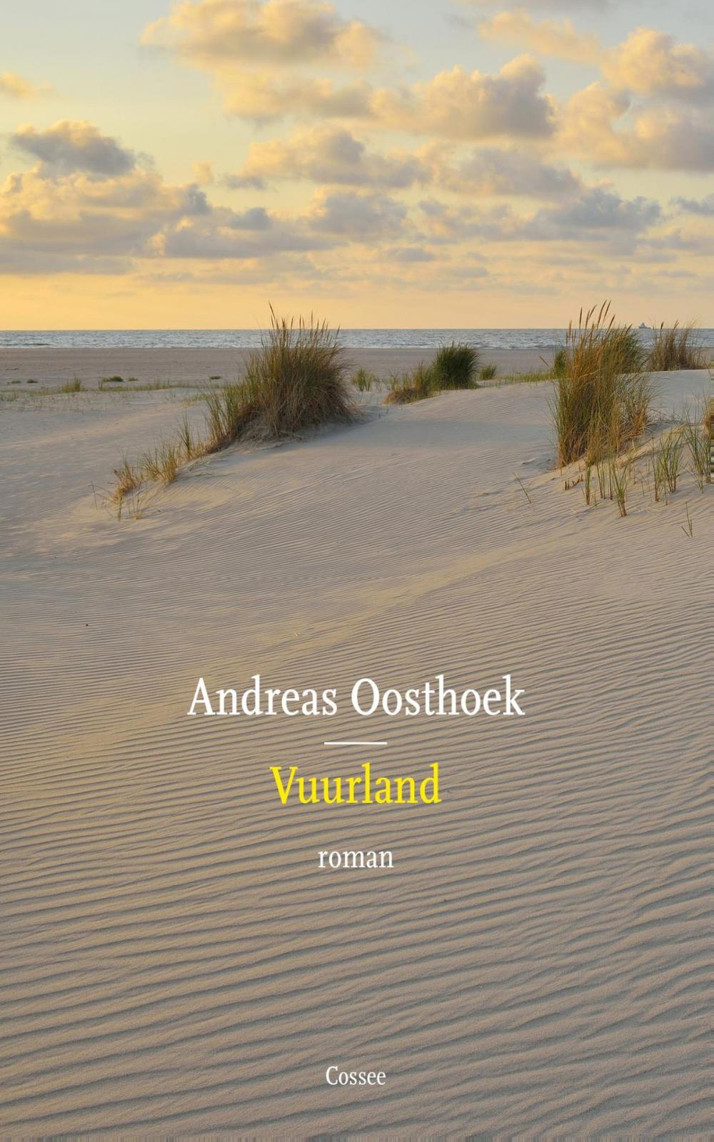 Big bigCover of Vuurland