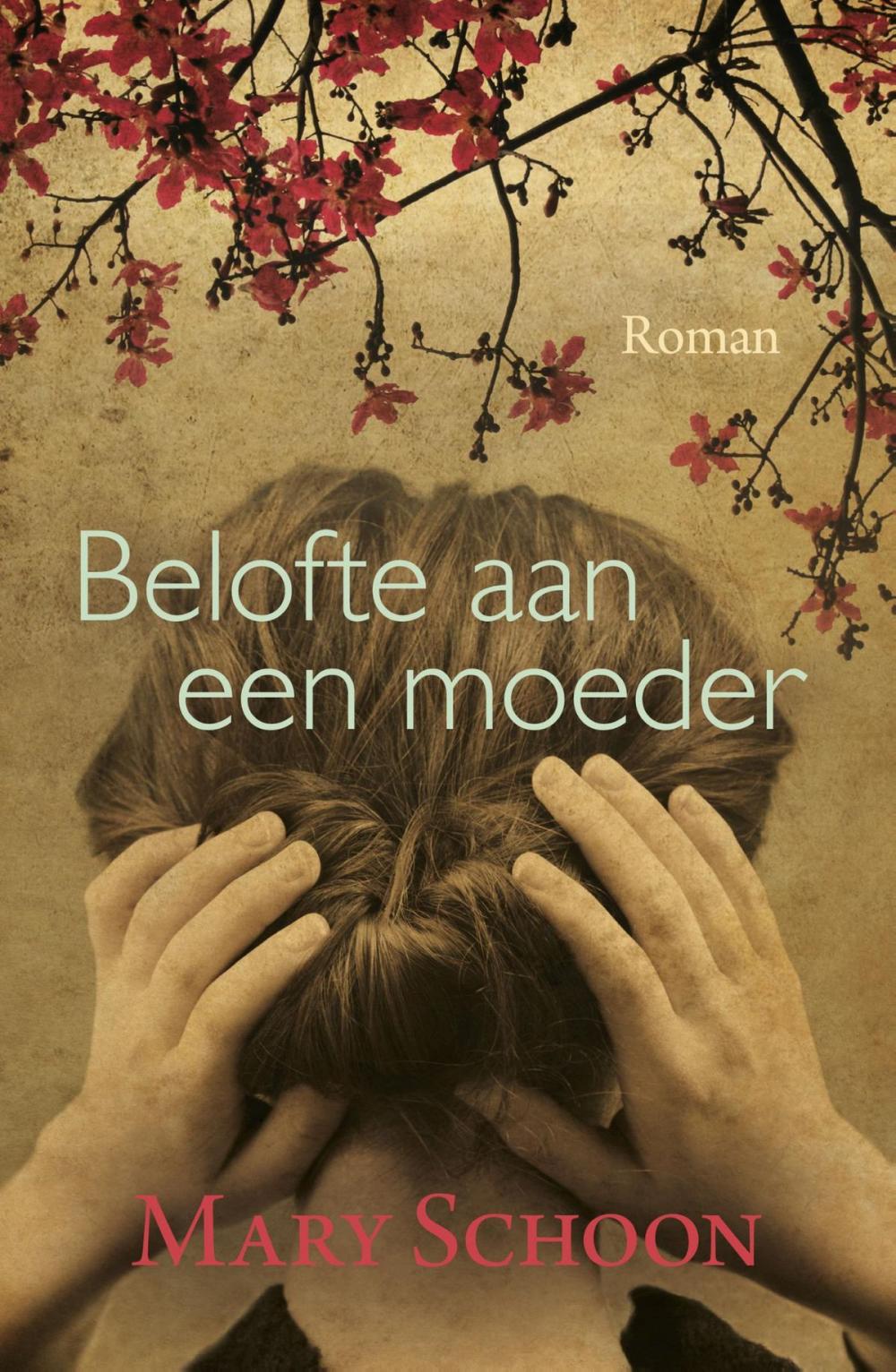 Big bigCover of Belofte aan een moeder