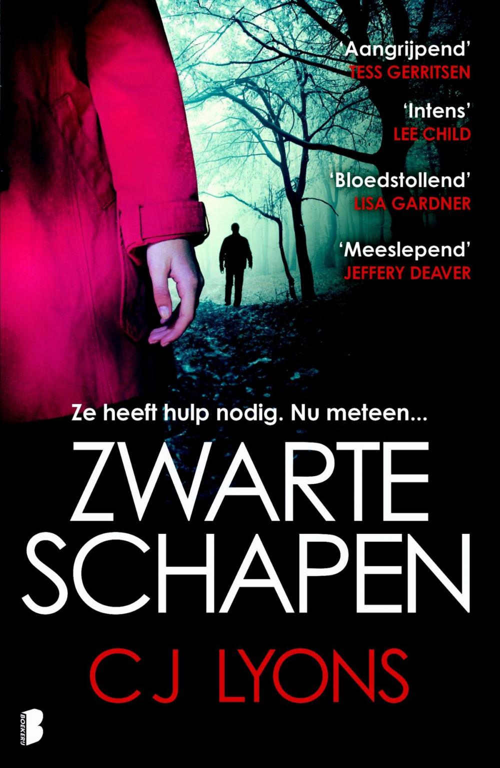 Big bigCover of Zwarte schapen