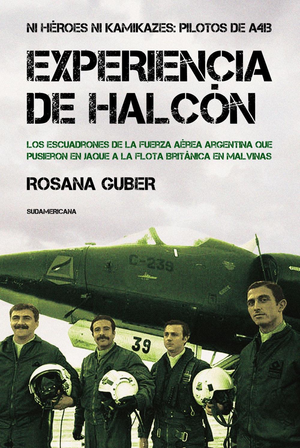 Big bigCover of Experiencia de Halcón