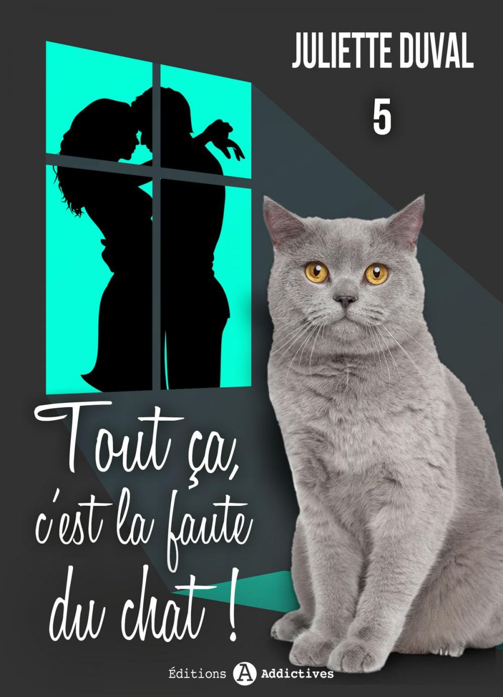 Big bigCover of Tout ça, c’est la faute du chat ! - 5