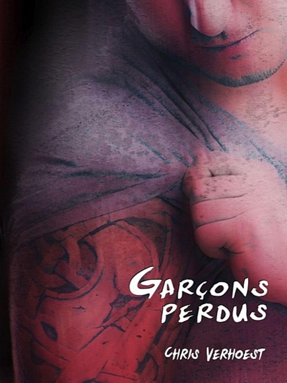 Big bigCover of Garçons perdus