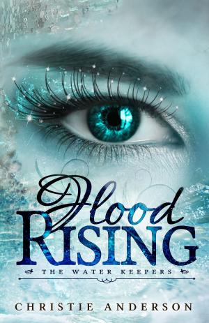 Cover of the book Flood Rising by Dana E. Donovan